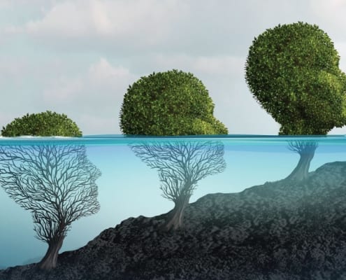 psychotherapy-emdr-guided-meditation