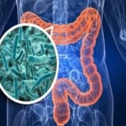 gut microbiome