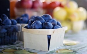 flavonoids are good for the brain