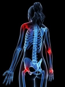 woman's musculoskeletal system