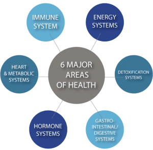 6 major areas of health/functional medicine assessment