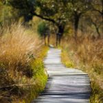 nature walk