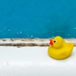 Mold Toxicity