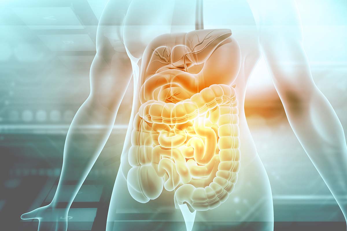8 Steps to a Healthier Gut 8 Steps to a Healthier Gut