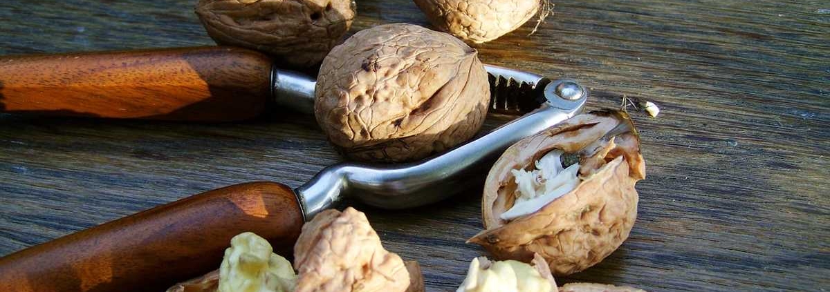 Healthy omega 3 fats