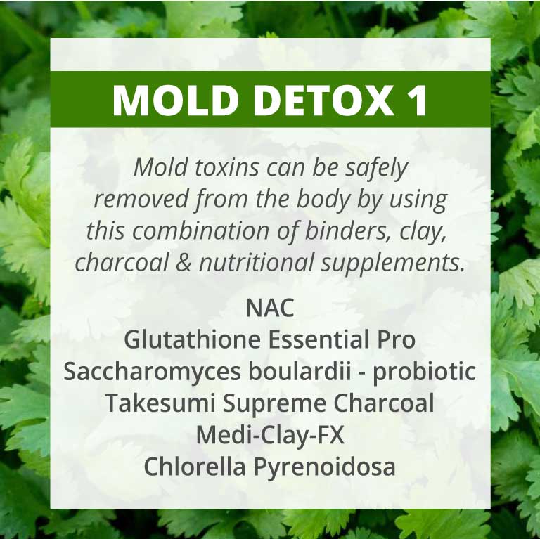 Mold_Detox-1