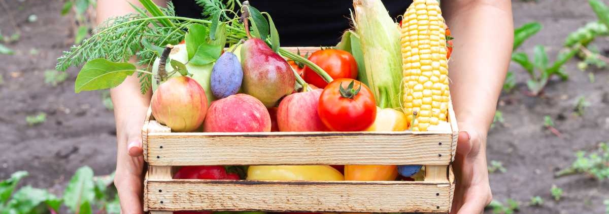 Spring clean your nutrition with these tips!