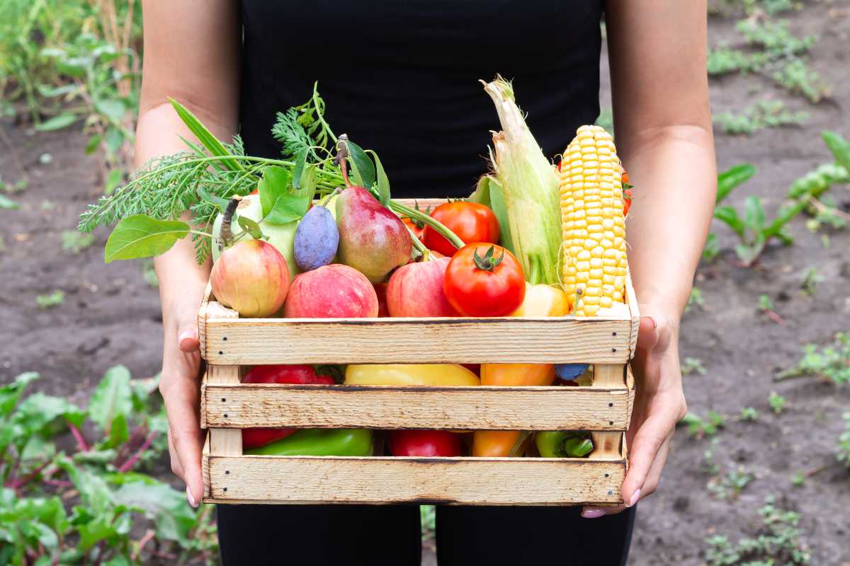 Spring clean your nutrition with these tips!